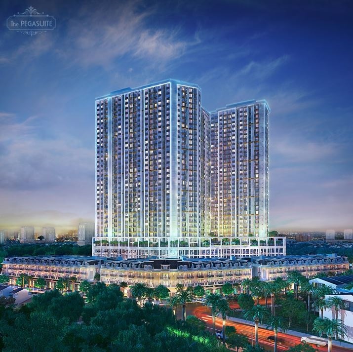 Thông tin mặt bằng thiết kế của dự án The Pegasuite Quận 8